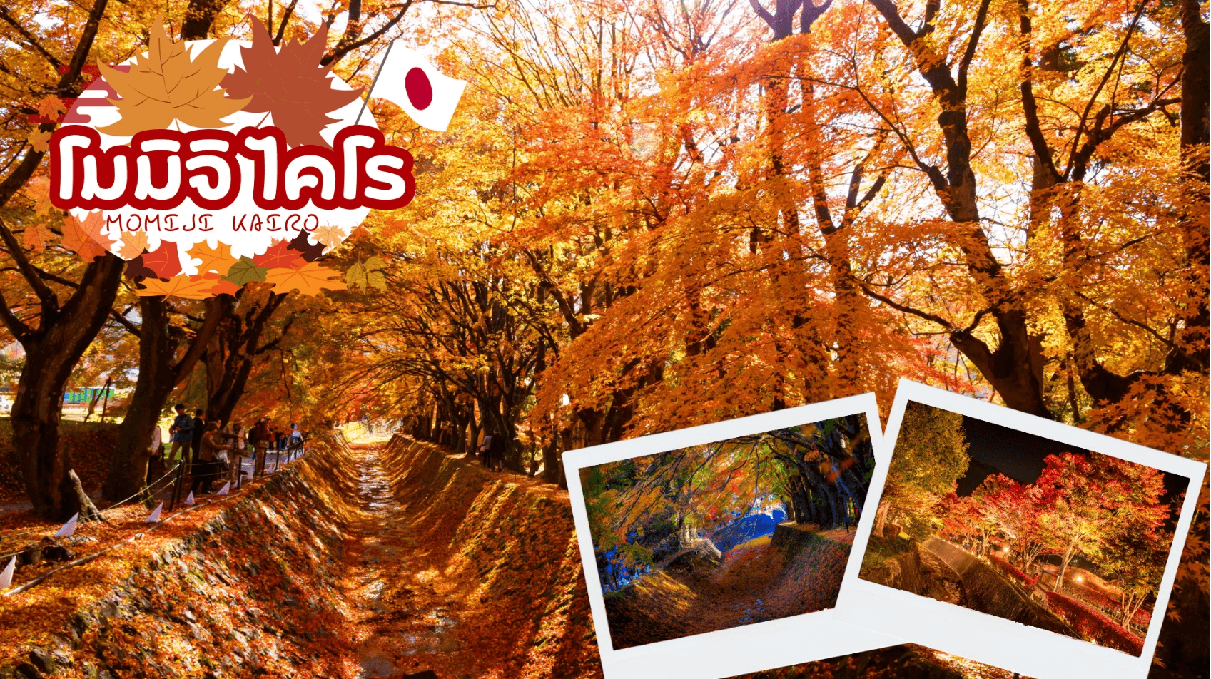 SHIRAKAWAGO KAMIKOCHI OSAKA 5D 3N โดยสายการบินไทยแอร์เอเชีย เอ็กซ์ [XJ] 8