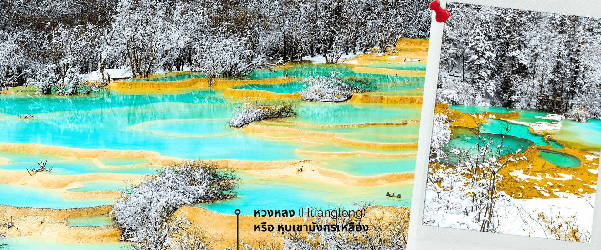 เฉิงตู ปี้เผิงโกว จิ่วจ้ายโกว หวงหลง 6วัน5คืน (ไม่ลงร้าน)  2
