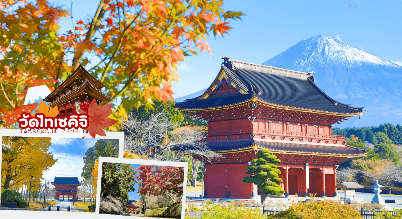 TOKYO FUJI MOMIJO KAIRO AUTUMN 6D 3N 4