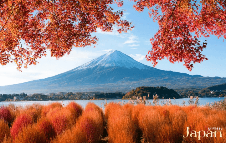 มหัศจรรย์...TOKYO ฮะคุบะ โมมิจิ ฟูจิ 5 วัน 3 คืน 5