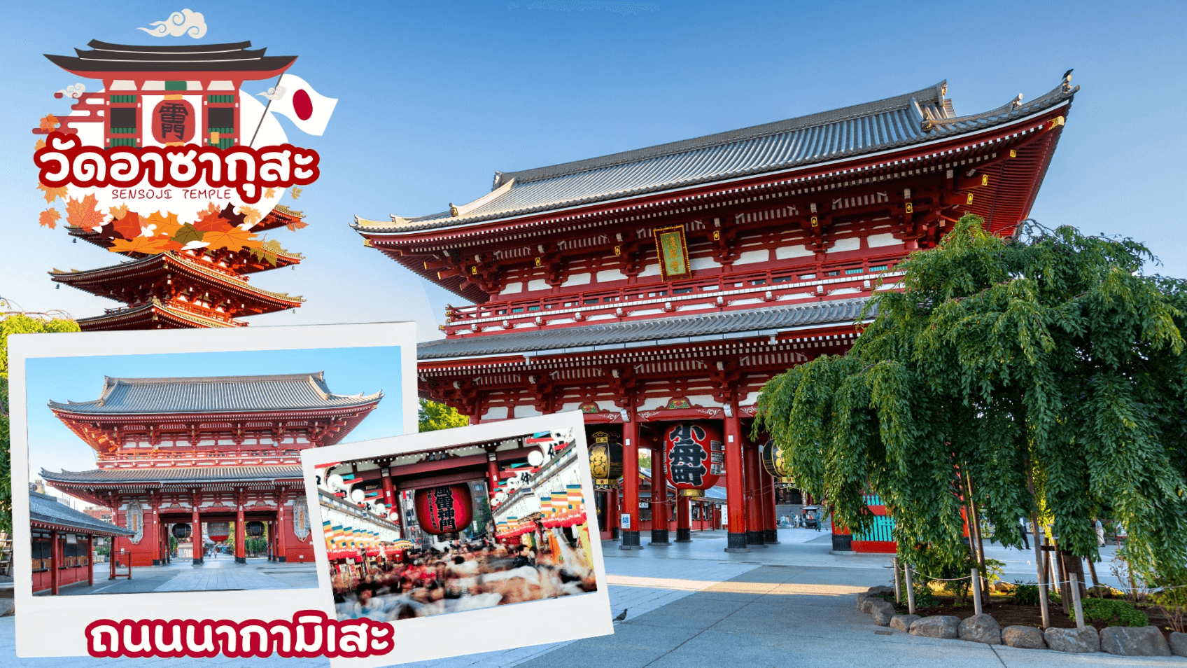 TOKYO OSAKA OBARA KORANKEI AUTUMN 6D 4N 1