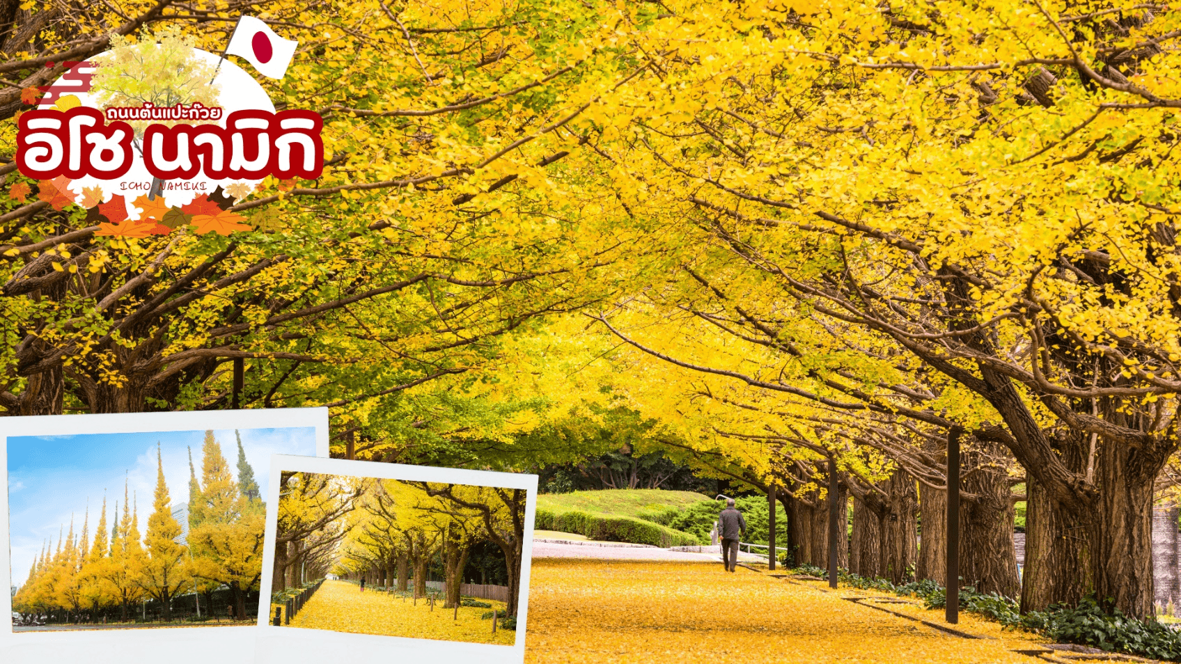 TOKYO OSAKA OBARA KORANKEI AUTUMN 6D 4N 2