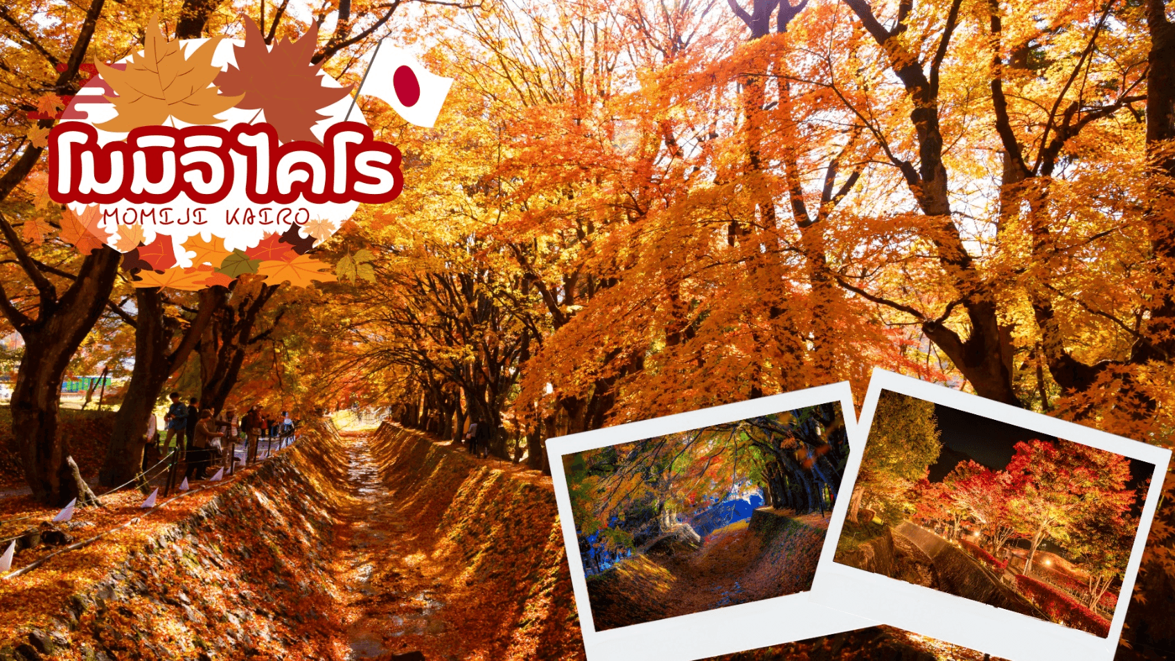 TOKYO OSAKA OBARA KORANKEI AUTUMN 6D 4N 5