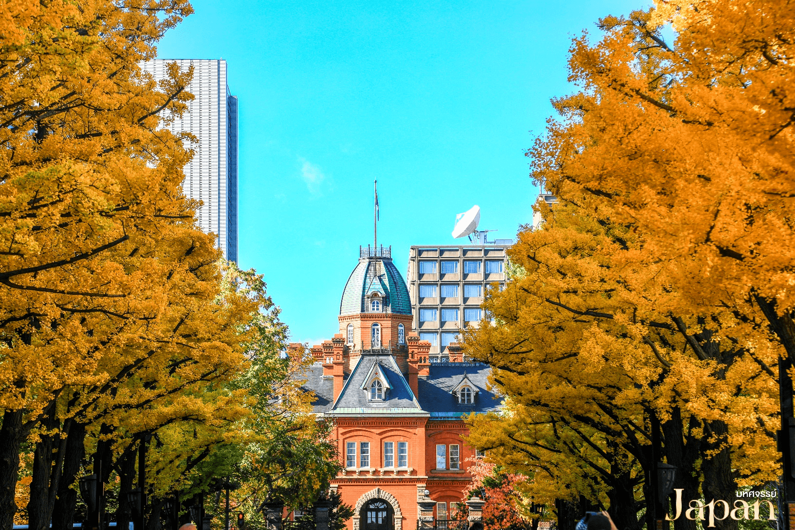 JAPAN HOKKAIDO ชมใบไม้เปลี่ยนสี โซอุนเคียว ไดเซ็ทสึซัง โจซังเค 6 วัน 4 คืน 5
