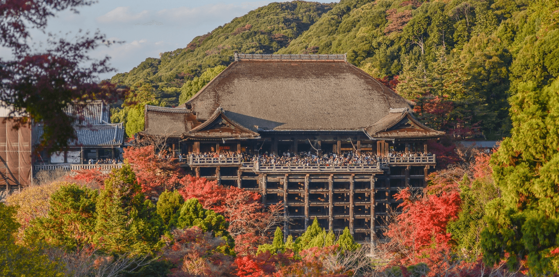 Beautiful nature... OSAKA TOKYO FUJI KYOTO NARA SHIRAKAWAGO MATSHUMOTO 6 วัน 4 คืน 5