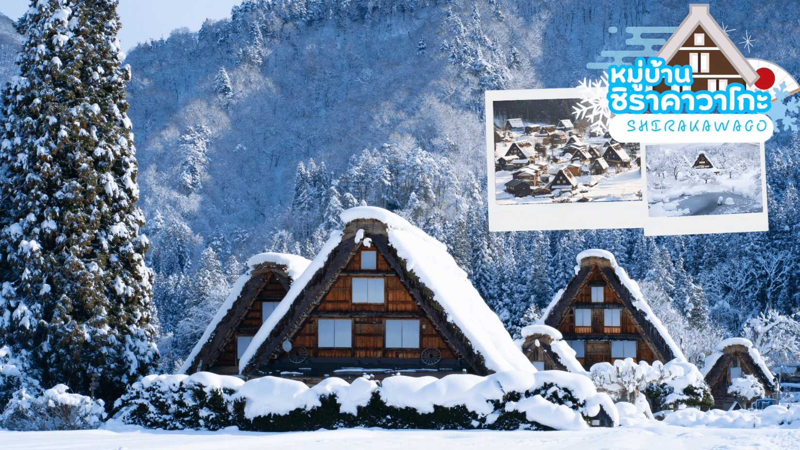 TAKAYAMA SHIRAKAWAGO TOKYO WINTER & NEW YEAR 7D 4N 1