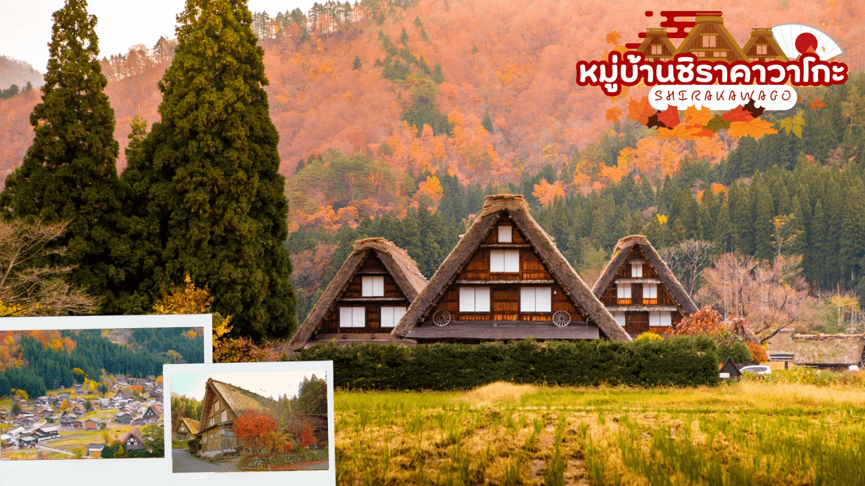 KAMIKOCHI HAKUBA TOKYO FUJI KOCHIA 7D 4N 1