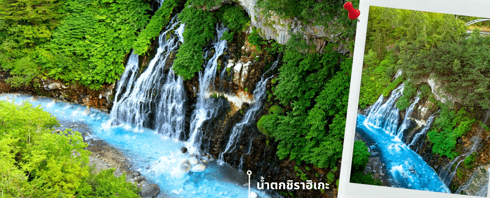 ฮอกไกโด อาซาฮิกาว่า ลาเวนเดอร์ ดอกไม้หลากสี 5วัน 3คืน 2