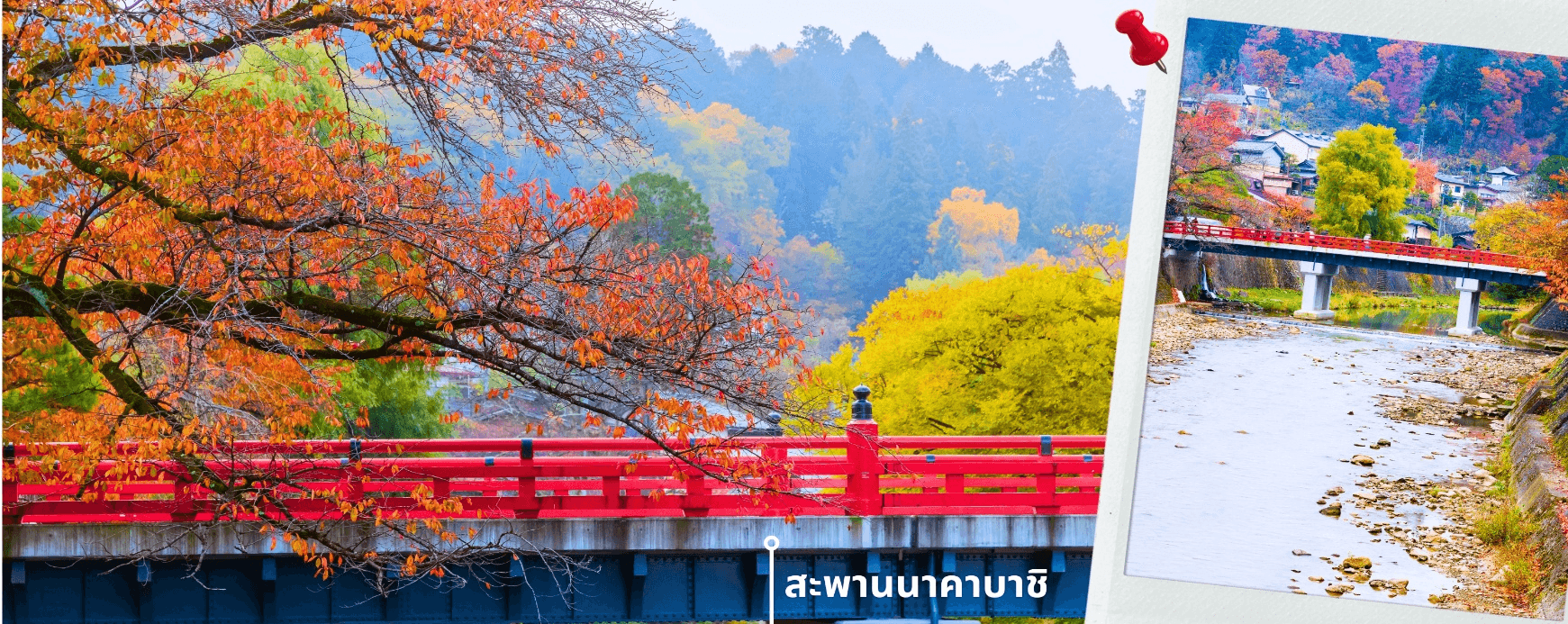 ฮาคุบะ อิวาตาเกะ โอซาก้า ใบไม้เปลี่ยนสี 6วัน4คืน อิสระช้อปปิ้งเต็มวัน 1