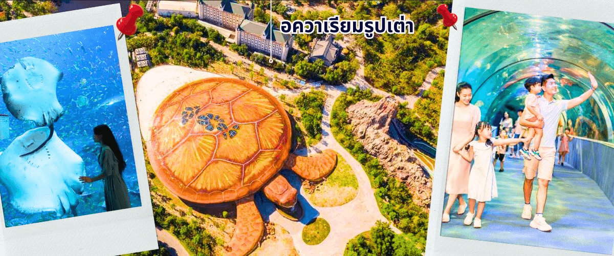 เกาะฟู้โกว๊ก-สวนสนุก Vin Wonders-อควาเรียมรูปเต่า-นั่งกระเช้า 4 วัน 3 คืน บิน 9G (AUG-SEP 26) 3