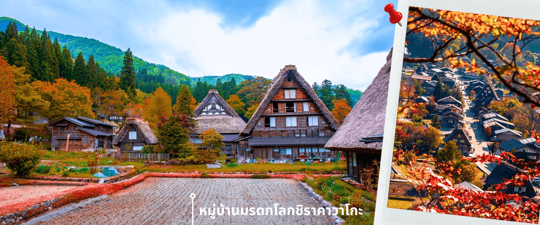 คามิโคจิ เกียวโต โอซาก้า 6วัน4คืน อิสระช้อปปิ้งเต็มวัน บิน XJ (OCT26) 3